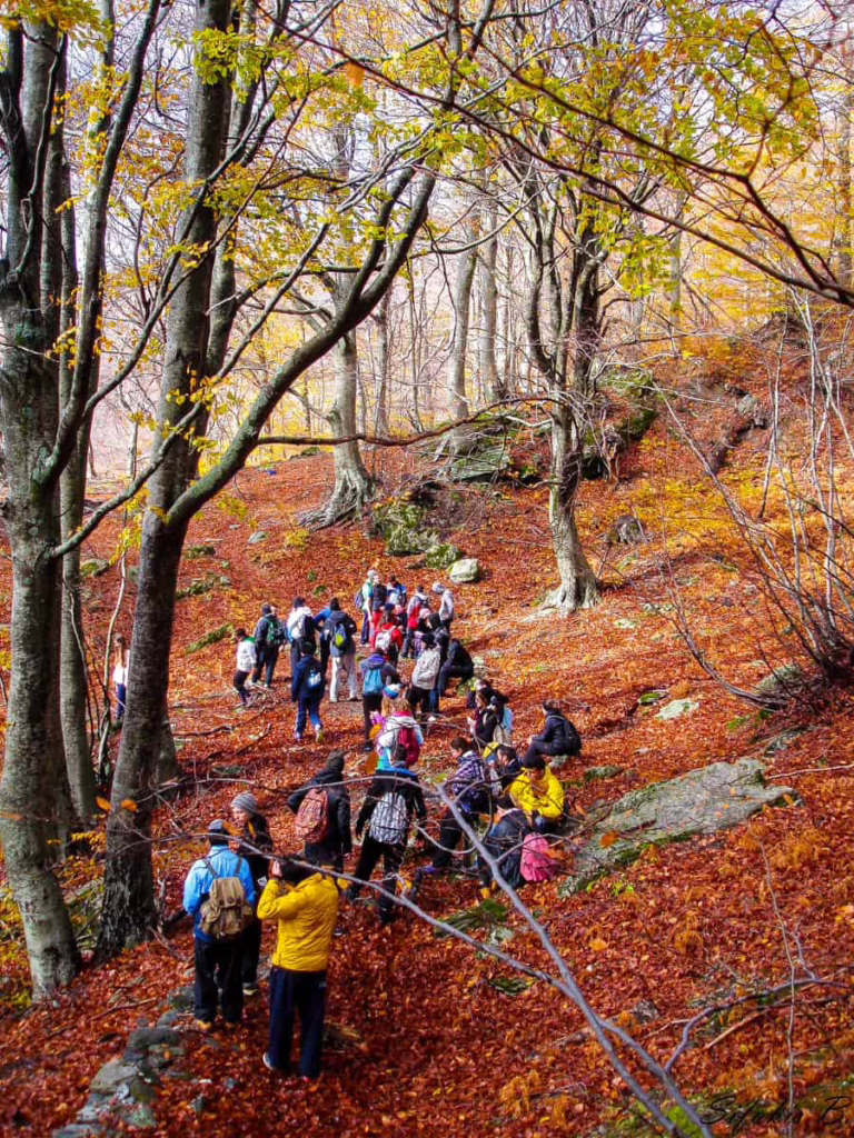 Hiking Pelion