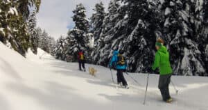 Ski touring Olympus - Kissavos - Parnassos
