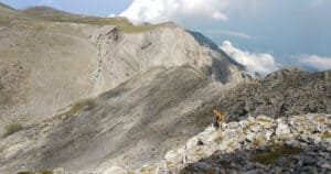 Trekking Delfi - Meteora - Olympus